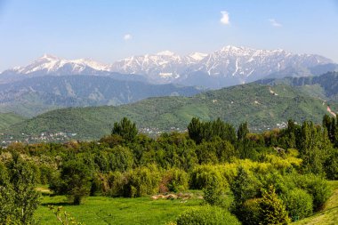 Summer Tien Shan mountains in the vicinity of Almaty
