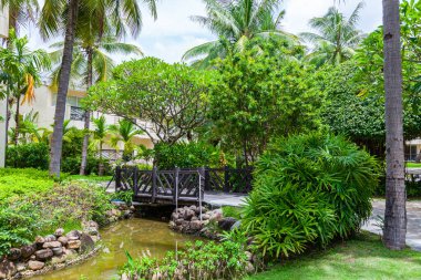 Rest on the shores of the Pacific Ocean in a comfortable luxury hotel. Walk on the bridge over the carps pond in a green garden. China, Hainan, Pacific coast