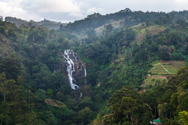 Grandiose unusually beautiful waterfall in the green jungle of the island of Sri Lanka. Overall plan. Ella. Vacation time