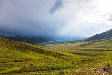 Endless pastures in the valley of the Assy plateau under thunderclouds, Asia, Kazakhstan