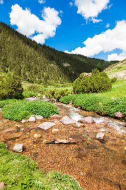 Beautiful mountain river on the Assy plateau in the national park of Kazakhstan, Asia