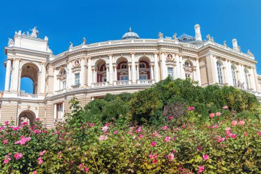 Odessa, Ukrayna - 15 Ağustos 2021: Odessa Opera ve Bale Tiyatrosu önündeki güzel çiçekler.