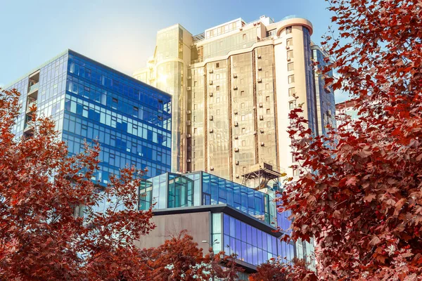 Reddened leaves of trees against the background of high-rise buildings of glass and concrete in contrasting colors. Architecture of the city of Odessa. Ukraine