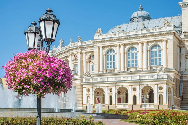 敖德萨歌剧院和芭蕾剧场前的美丽花朵 专注于花 乌克兰 — 图库照片