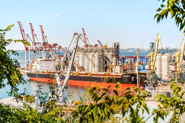 Odessa Ukraine August 2021 Cranes Color Containers Odessa Port Largest — Stockfoto