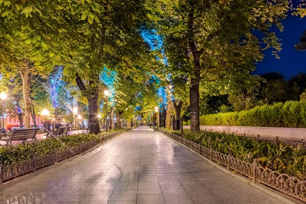 City park at summer night with lanterns along the road