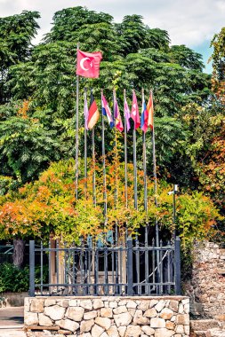 Avrupa ülkeleri, Rusya, Hollanda, Almanya gibi ülkelerin bayraklarının yanındaki Türkiye bayrağı.