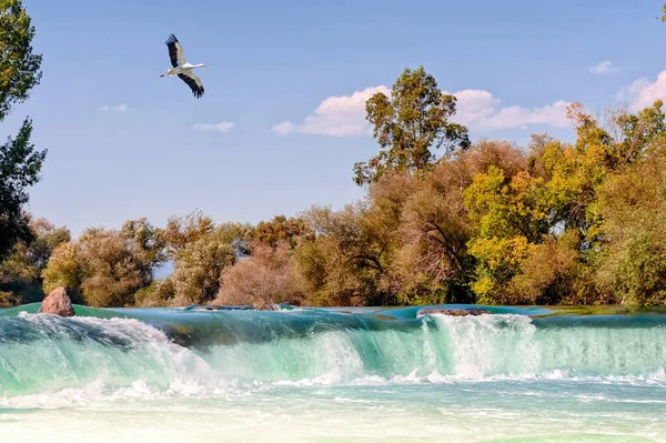 Una Hermosa Cigüeña Vuela Sobre Cascada Otoño Río Manavgat Antalya — Foto de Stock