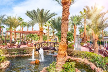 Gölünde bir çeşme ve palmiye ağaçları olan güzel bir tropik yeşil bahçe.