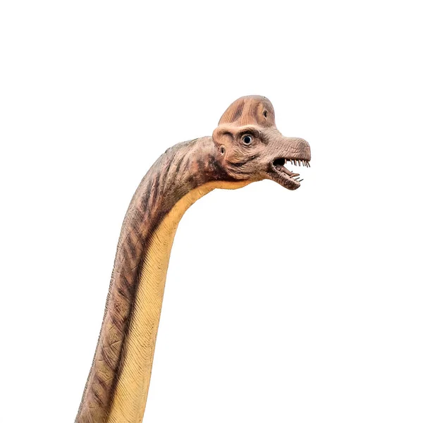 Sharm Sheikh Egypt Января 2019 Года Полноразмерная Голова Динозавра Рептилии — стоковое фото