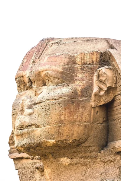 Großaufnahme Der Großen Sphinx Von Gizeh Kairo Isoliert Auf Weißem — Stockfoto