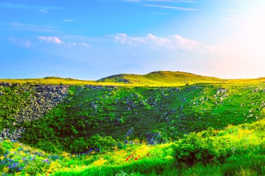 Beautiful mountain view of the ravine covered with green grass and flowers