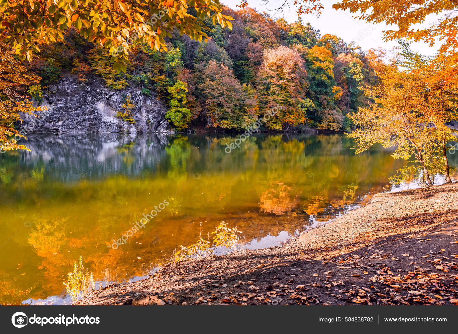 Jinsiy aloqa sanati filmi haqida Oshqozonda porno chandiq