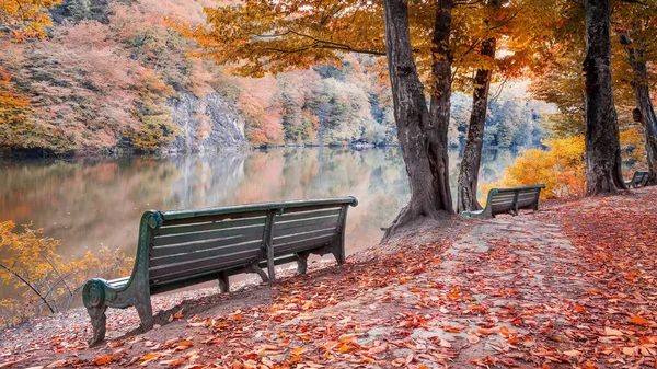 Benches at lake Parz Lich (clear lake) in Dilijan, Armenia, Autumn landscape