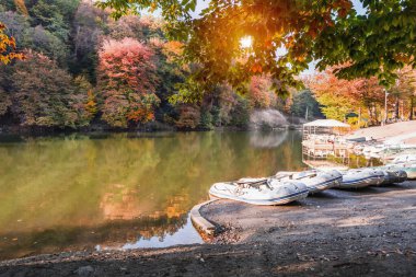 Dilijan, Ermenistan 'daki Parz Lich Gölü kıyısında şişme lastik botlar, sonbahar manzarası