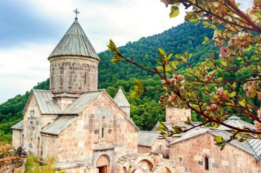 İnanılmaz doğa konsepti. Doğanın güzel çiçekli ve soyut arka planı. Yumuşak odaklı çiçek açan ağaç dalları hafif açık mavi gökyüzü arka planına