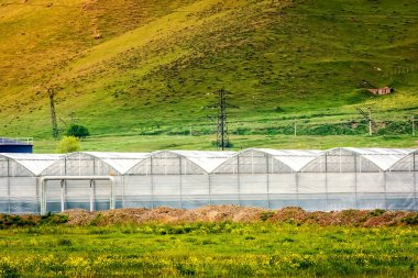 Dağın eteğindeki seranın dışında.