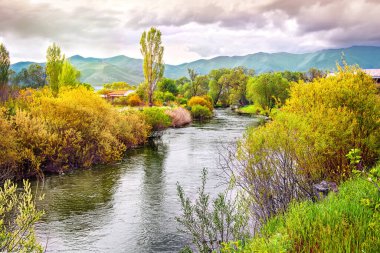 güzel bir yaz, Altay Dağları, Rusya'nın dağ nehir manzarası