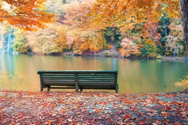 Dilijan, Ermenistan 'daki Parz Lich Gölü' ndeki banklar (temiz göl), sonbahar manzarası