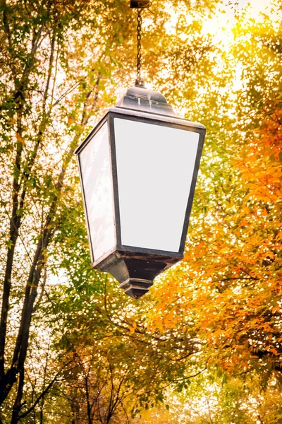 Lampada Stradale Nel Parco Autunnale Della Città — Foto Stock