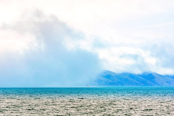 Seagull Flying Out Fog Water Lake Sevan — Stock Photo, Image