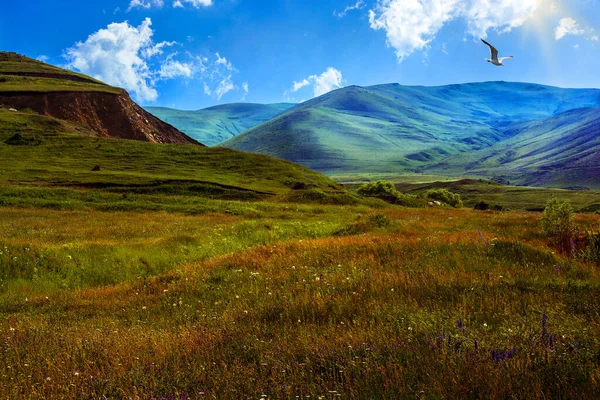 Piękny Krajobraz Górski Ptak Tle — Zdjęcie stockowe