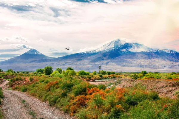 Nézd Ararat Hegy Örmény Oldaláról — Stock Fotó