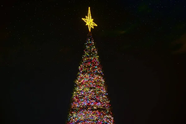 View Main Christmas Tree Republic Square Yerevan Armenia — ストック写真