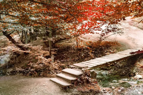 Μια Παλιά Ξύλινη Γέφυρα Ένα Δρομάκι Στον Κήπο Dendropark Στεπάναβαν — Φωτογραφία Αρχείου