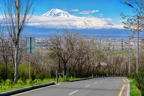 Walkway Road Holy Ararat Mountain Background — Stockfoto
