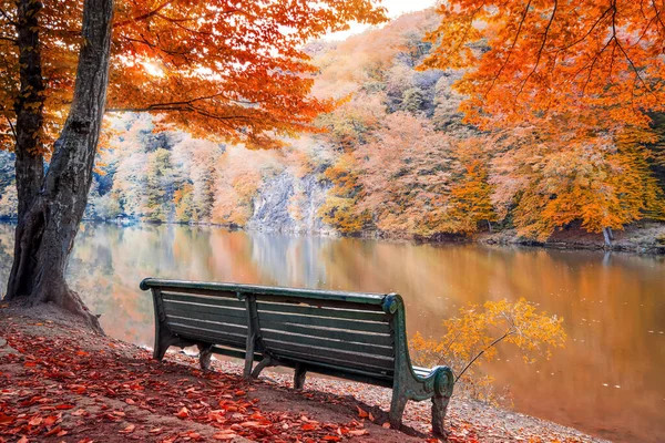 Benches at lake Parz Lich (clear lake) in Dilijan, Armenia, Autumn landscape