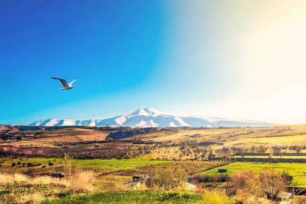 Gyönyörű Táj Hófödte Hegy Kék Ellen Örményország — Stock Fotó