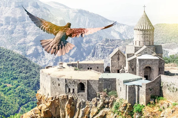 Duif Vliegt Het Tatev Klooster Armenië — Stockfoto
