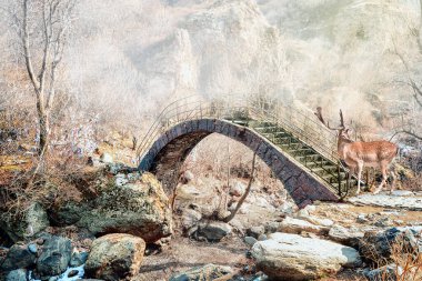 Cervidae ailesine ait nadasa düşen geyik memelisi.