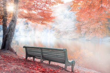 Resimlerde Dilijan, Ermenistan 'daki Parz Lich Gölü' ndeki (temiz göl) bank resmi, sonbahar manzarası