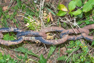 Paslı zincir çimlere yakın.