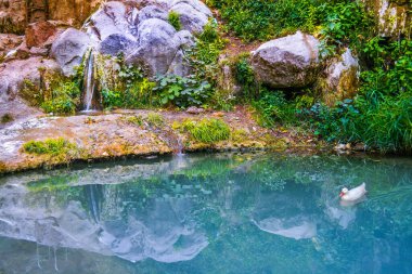 Şeytan Köprüsü, Tatev. Ermenistan