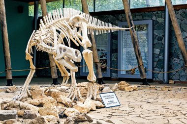 TSKALTUBO, GEORGIA - SEPTEMBER 07, 2018: Dinozor iskeleti, Gürcistan 'ın Kutaisi kenti yakınlarındaki Sataplia Doğa Rezervi' de yer almaktadır. Tükenmiş hayvanlar hakkında eğitim..