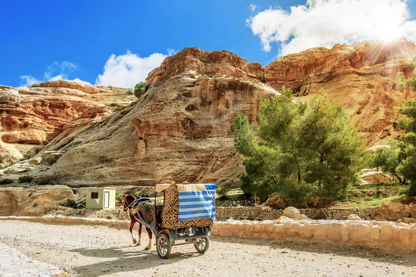 Bedeviler Turistleri Taşır Ürdün Petra Şehrinde Oyulmuş Mağara Evleri Dünyanın — Stok fotoğraf