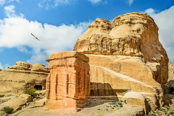 Bird flying over a Rose City of Petra, Jordan.  One of the New Seven Wonders of the World