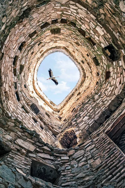 Leylek ortaçağ kalesi Ananuri 'nin üzerinde uçuyor. Georgia.