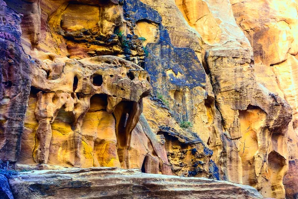 Muur Rose City Van Petra Jordanië Een Van Nieuwe Zeven — Stockfoto