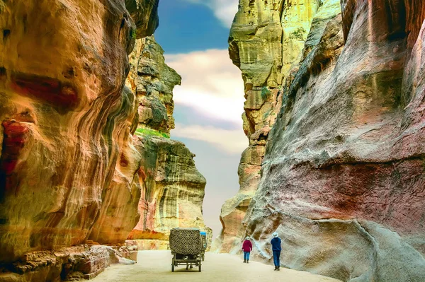 Bedouin Carries Tourists Carriage Cave Dwellings Carved Rose City Petra — 图库照片