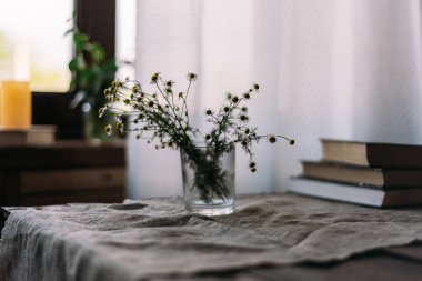 Masadaki cam vazoda tıbbi papatya çayı.