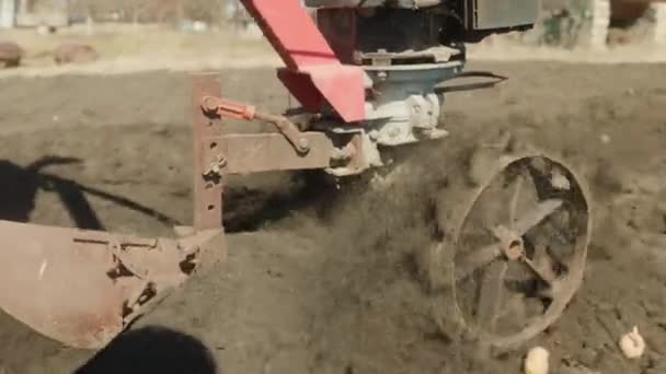 Préparation d'un tracteur ambulant pour planter des pommes de terre. Motoblock close-up. — Video