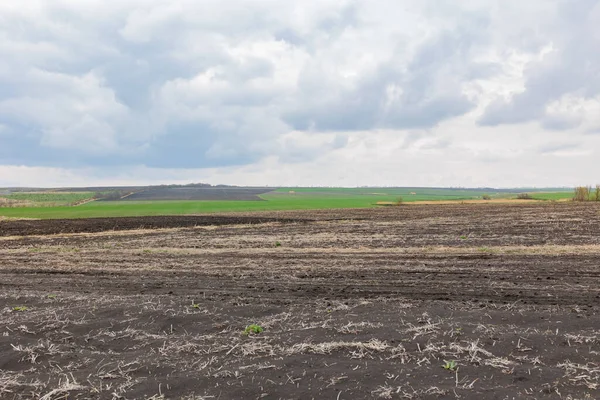 Tarlaya sürülmüş ve mavi gökyüzü. Baharda ekmek için hazırlanmış topraklar