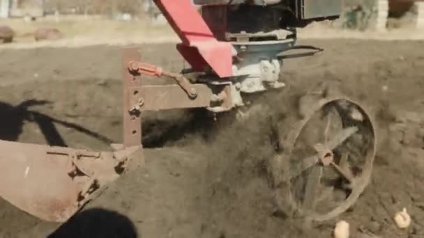 Tracteur marche-derrière labourer la terre dans le jardin. charrue avec un cultivateur — Video