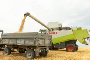 Harvester combine harvesting wheat and pouring it into dump truck during wheat harvest at the end of summer. Concept of a rich harvest. Farming agricultural background. agriculture in Ukraine during the war