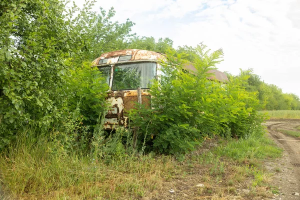 Abandoned old Bus In The Woods Hidden By Trees And Overgrowth