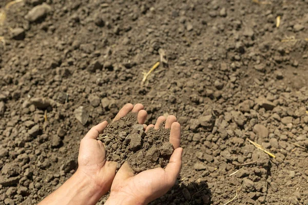 Rolnik Ręce Trzymając Wylewanie Powrotem Gleby Ogrodnik Sprawdzanie Jakości Gleby — Zdjęcie stockowe